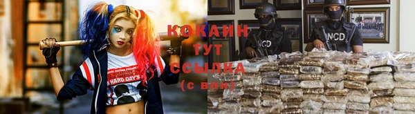 2c-b Иннополис