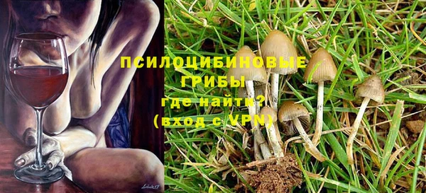 2c-b Иннополис