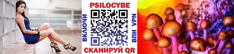 Псилоцибиновые грибы прущие грибы  Купить  Асино 