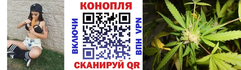 Каннабис индика  Купить где  Асино 